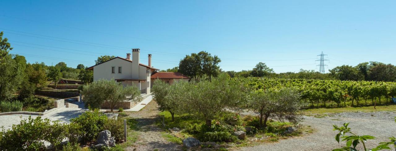 Cardo Boutique&Wine Resort Malchina Exteriér fotografie