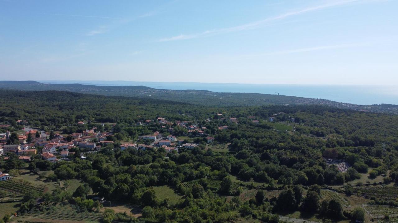 Cardo Boutique&Wine Resort Malchina Exteriér fotografie