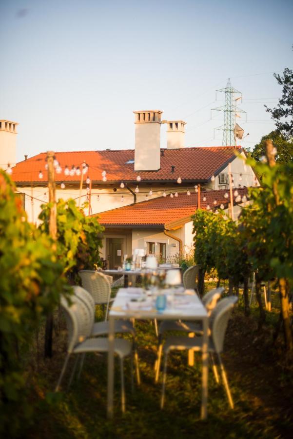 Cardo Boutique&Wine Resort Malchina Exteriér fotografie