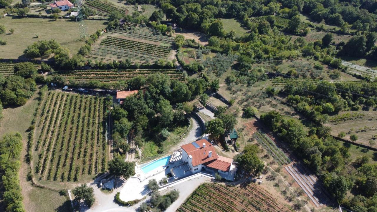 Cardo Boutique&Wine Resort Malchina Exteriér fotografie